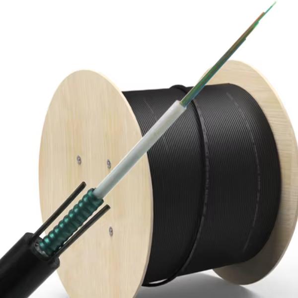 Outdoor Singlemode Overhead Armored Fibre Optical Cable Gyxtw 2 4 6 8 12 24 Core Fiber Optic Cable