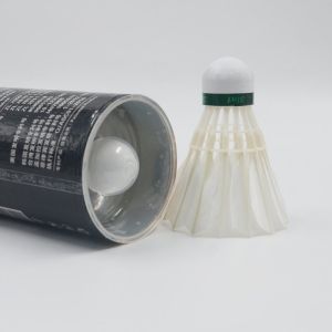 Dmantis Badminton Shuttlecock Duck Feather Shuttlecock Recreation Training