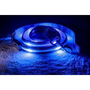 China 4Ft & 6 Ft &Water Resistant LED Dog Leash - USB Rechargeable Flashing Light on sale