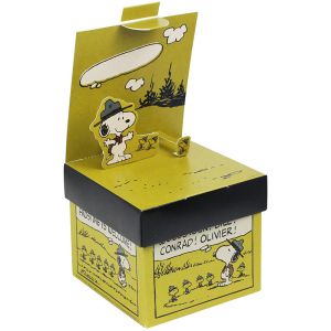 Collapsible Chocolate Packing Boxes