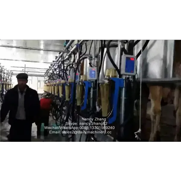 Automatic Milking Parlor System with ACR Automatic Cluster Remover and Waikato Milk Meter in Herringbone Structure