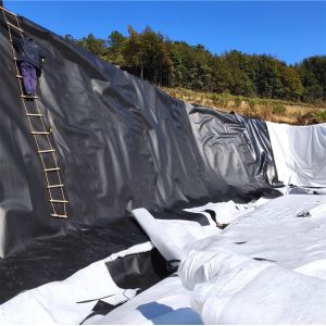 Smooth Geomembrane Bottom Liner for Fish Ponds Embankment Ramps Return and