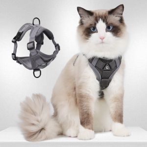 Buy cheap Leash for small dogs and cats with reflective breathable vest pet harness from wholesalers