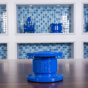 Industrial GGG40 Check Valve Flange Type Silencing DN65 Small Check Valves For