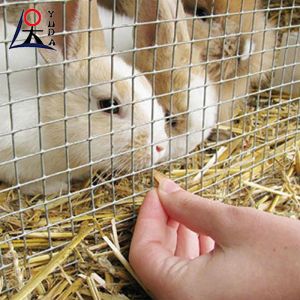 Welded Wire Mesh Fence Roll Bird Cage Weld Iron Wire Aviary Mesh