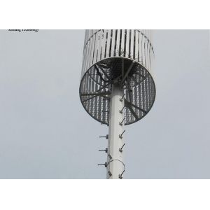 Galvanized / Painted Surface Monopole Antenna Tower Flat Rack Container
