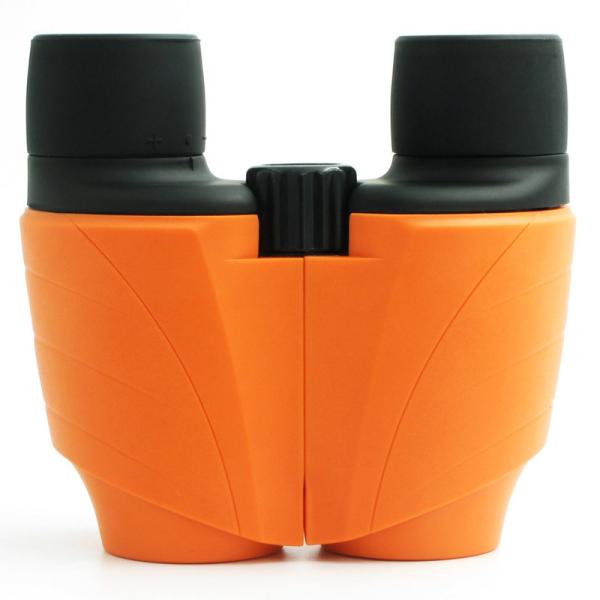 Quality Bk7 Prism Glass 10x25mm Compact Folding Binocular For Birding wholesale