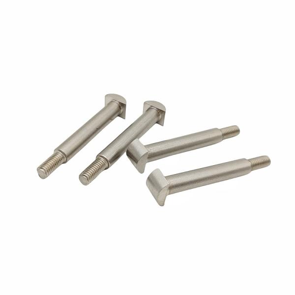 Customize Various Specifications Of Stainless Steel T-Shaped Step Bolts With