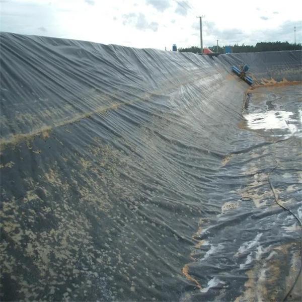 HDPE Geomembrane Waterproofing Liner / Pool Liner / Georid Road Construction