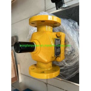Temperature Regulator Lhft50 for Jichai Chidong 6190 Diesel Generator Portable