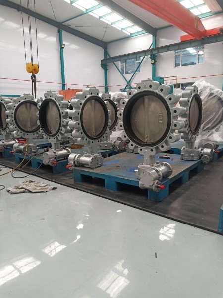 Cast ductile iron pn16 jis10k chinese factory Lug type butterfly valves