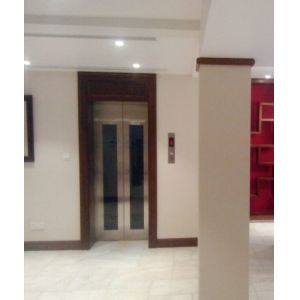 ORIA mordenized home resident home Villa elevator