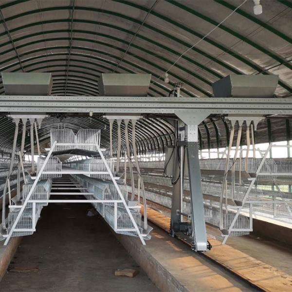 Quality A Type 43*41 cm Full Automatic Battery Cage System wholesale