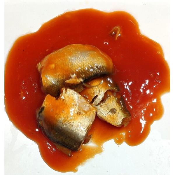 Quality 155g Canned Sardines Fish In Tomato Sauce wholesale