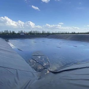 China Tenglu 0.1mm 3mm Black / Green / White / Blue HDPE Geomembrane Pond Liner for Fish Farm Pond on sale