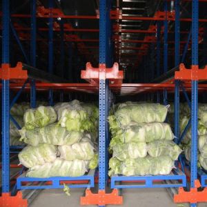 Cheap Automatic Warehouse Shuttle System ASRS Automated Storage And Retrieval for sale