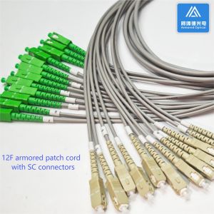 Cheap 12 Core Sc Apc Fiber Patch Cable 2m Sc Upc Sc Upc Simplex 6.5mm Grey PVC for sale