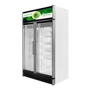 CKD Single Or Double Glass Door Freezer With Five Layers Shelves R404a
