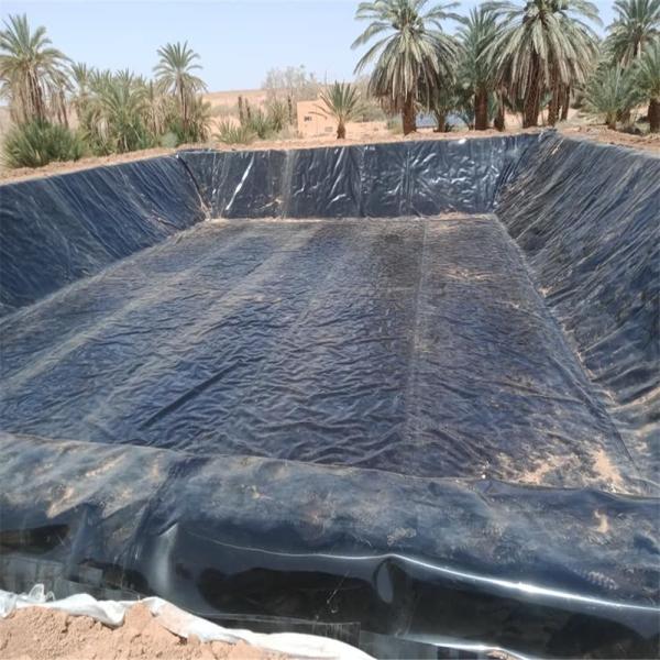 Onsite Installation Service for ASTM Standard Smooth HDPE Geomembrane Pond Pool