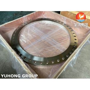 Stainless Steel Flange ASTM A240 Gr F904L UNS N08904 heat exchanger boiler Valve