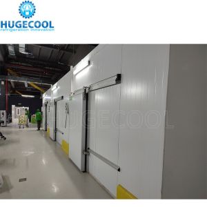 Customization Cold Room Chiller/Freezer Room Sliding Door Hinged Door Keeping