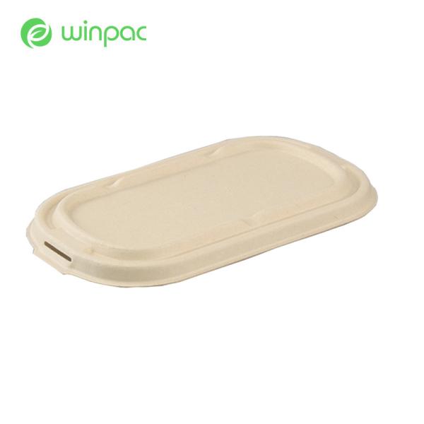 White Biodegradable Take Away Containers Disposable Eco Friendly Takeaway