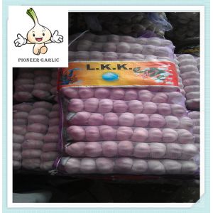 China 5cm fresh garlic & normal white garlic & Lowest price China Garlic Supplier on sale