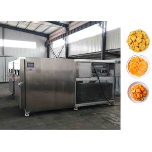 China Electric Heating Vacuum Freeze Drying Machine Low Noise Level on sale