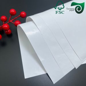 Biodegradable 160um 200um White Cardboard For Advertisement Tear Resistance