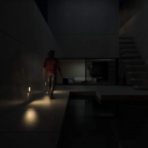 Dusk to Dawn Brightness Adjustable Plug in Motion Sensor LED Night Light