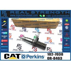 Diesel Common Rail Fuel Injector 102-7038 127-8228 127-8230 162-0212 162-0218