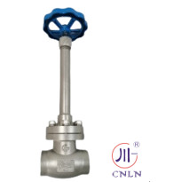 Cheap SS304/316 Cryogenic Globe Valve Short Stem-Type B(DN10-100mm) for LNG/LOX/LN2 for sale