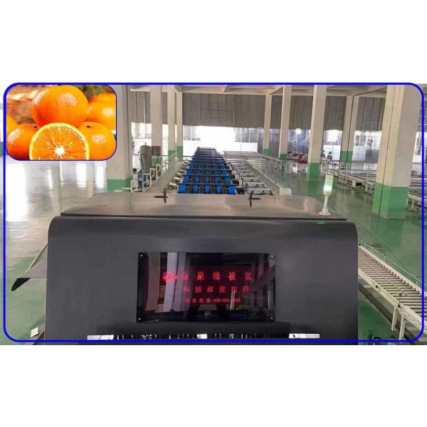 High Precision Fruit Grading Machine 4 Channel Orah Mandarin Intelligent