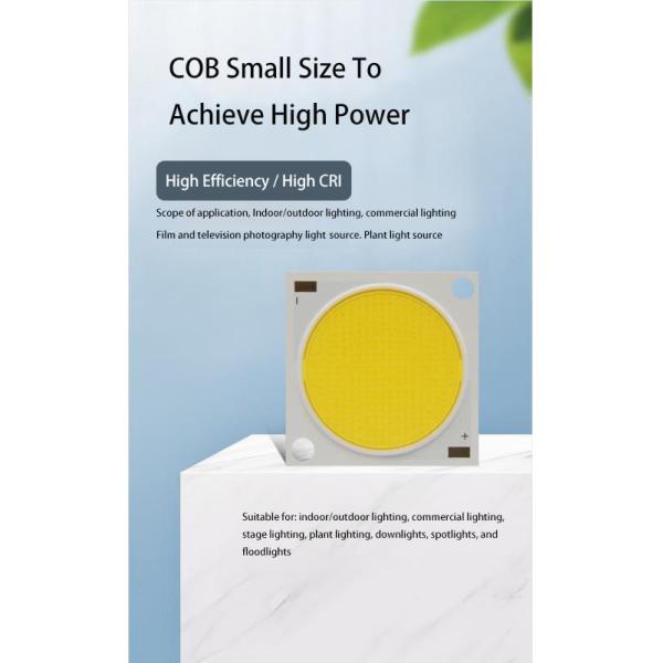 10W LED COB Chip CRI 80 2900K-3100K 1200lm-1300lm RoHS Compliant