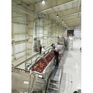 Stainless Steel 316 Apple Juice Processing Line 50Hz With Water Recycle System