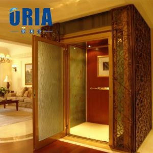 ORIA mordenized home resident home Villa elevator