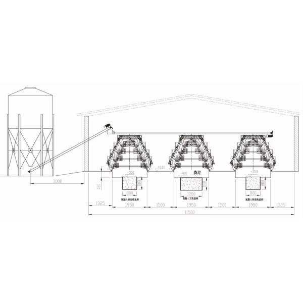 Animal Feeding H Type Automatic Chicken Cage , Hen Battery Cages For Broilers