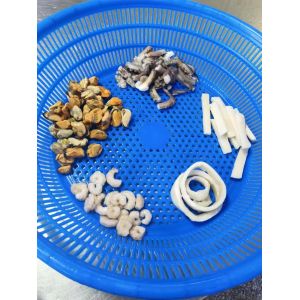 IQF Frozen Seafood Mix 500gr/bag With ISO Authentication