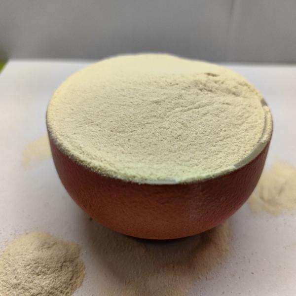 Quality Bacterial Protein Powder Poultry Protein Supplement with 2 Years Shelf Life 10% Moisture and Enhanced Feed Attractant wholesale