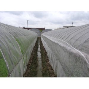 Smart Industrial Netting Systems Overhead Crop Netting ISO9001 Approved