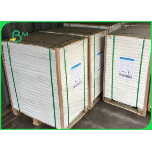C1S Ivory Board Poly Coated Paper 300gsm + 15g PE 70 X 100cm For Cup Making