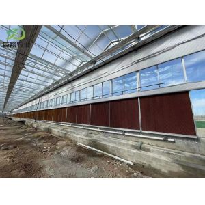 Precise and Accurate Monitoring Hydroponic Seedling Greenhouse with Humidity Control