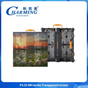 High Brightness Transparent LED Screen Display IP65 Waterproof LED Transparent