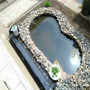 1m-8m Width Green HDPE Geomembrane for Reinforced Anti-seepage Fish Pool Pond