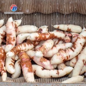 380KG Stainless steel roller cleaning machine, ginger, taro, lotus root,