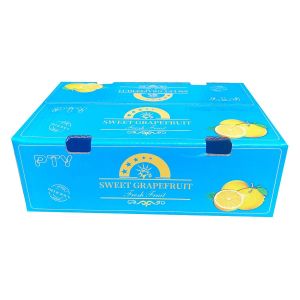 CMYK Color Digital Printing Machine Corrugated Box UV Printer For Paper Bags