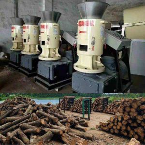High Efficiency Wood Pellet Making Machine Biomass Pellet Machine
