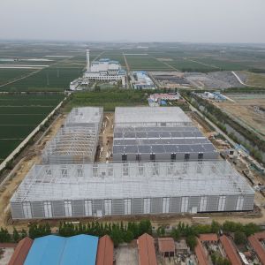 Prefab Steel Structure Factory with EPS Sandwich Panels