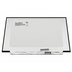 M133NWR9 R1 IVO 13.3" 1366(RGB)×768, 200 cd/m² INDUSTRIAL LCD DISPLAY