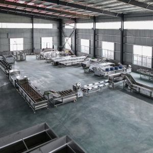 Multi-Function Peeling Machine for Washing Brushing of Fruit Vegetable